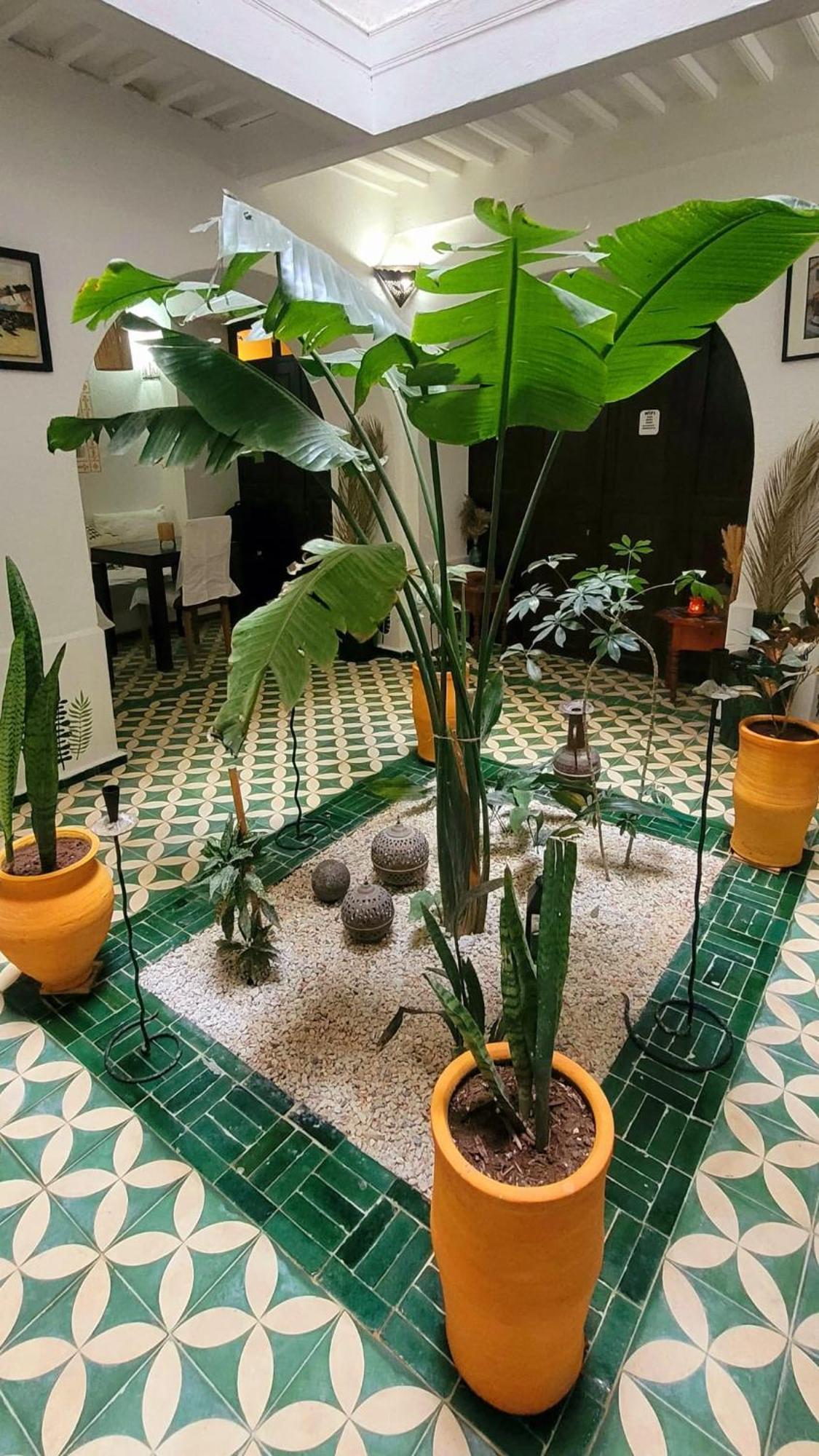 Riad Ocean Medina Эс-Сувейра Экстерьер фото